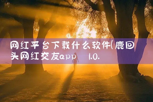 网红平台下载什么软件