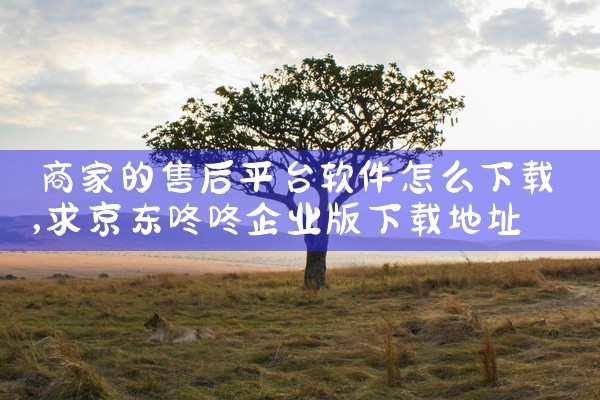 商家的售后平台软件怎么下载