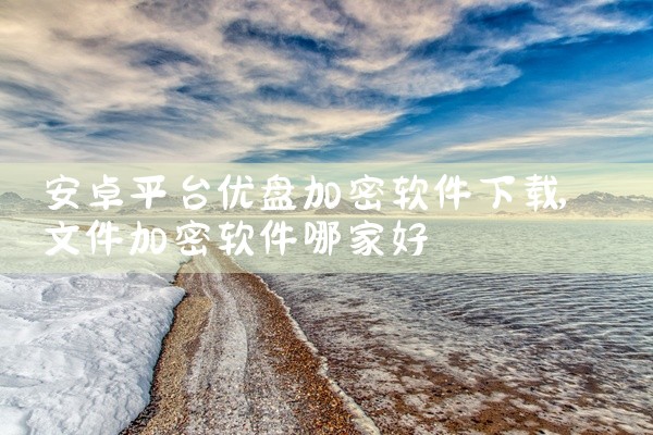 安卓平台优盘加密软件下载