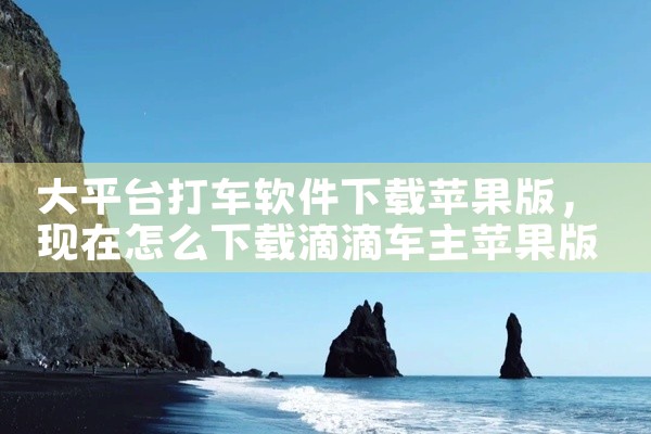 大平台打车软件下载苹果版