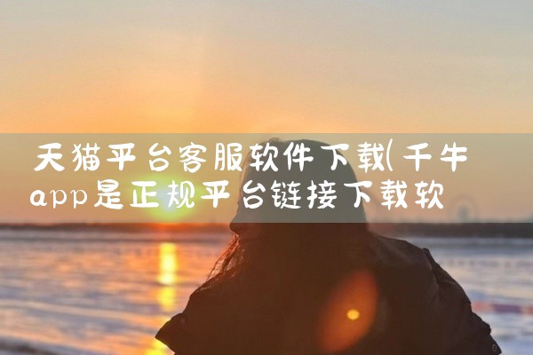 天猫平台客服软件下载