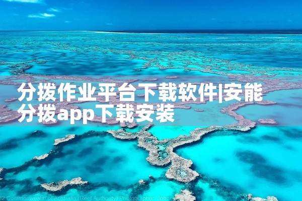分拨作业平台下载软件