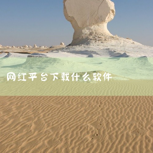虎牙直播作为技术驱动型平台，虽未直接公布订阅数据，但凭借弹幕式互动直播模式与游戏内容优势占据重要地位。平台覆盖网游竞技、单机热游、娱乐天地等频道，支持英雄联盟、王者荣耀等热门游戏及赛事直播，技术优化保|