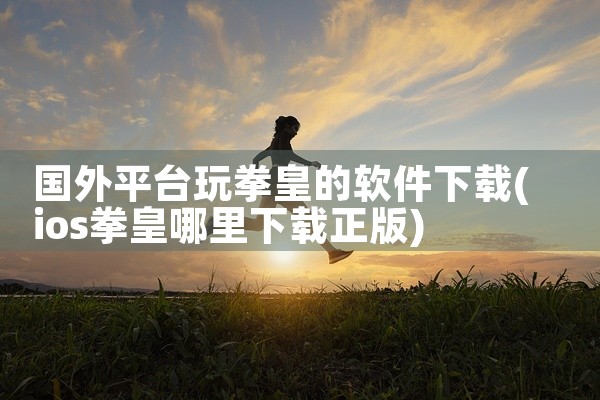 国外平台玩拳皇的软件下载