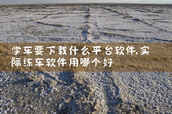 学车要下载什么平台软件