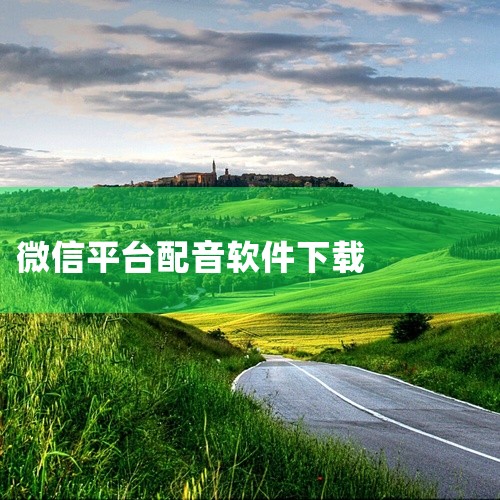 1. 视频配音该软件可通过华军软件园获取官方版下载地址，用户可免费下载使用。华军软件园是国内知名的软件下载平台，提供经过安全检测的正版软件资源。下载时需注意选择与设备系统匹配的版本（如安卓或iOS），,